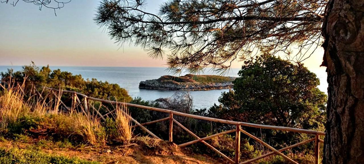 Residenza Giostell Bed & Breakfast Marina di Camerota